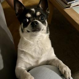 Foto de perfil